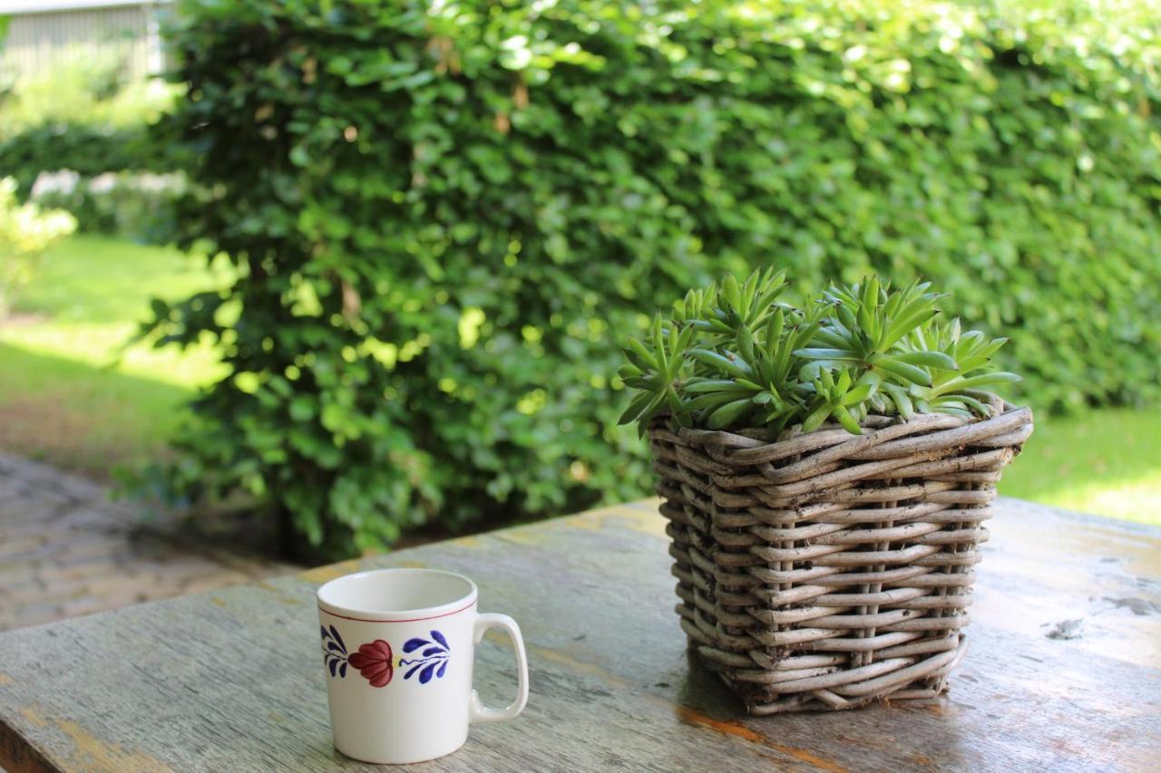 Bed and Breakfast Erve Praestinck Stegeren Exterior foto